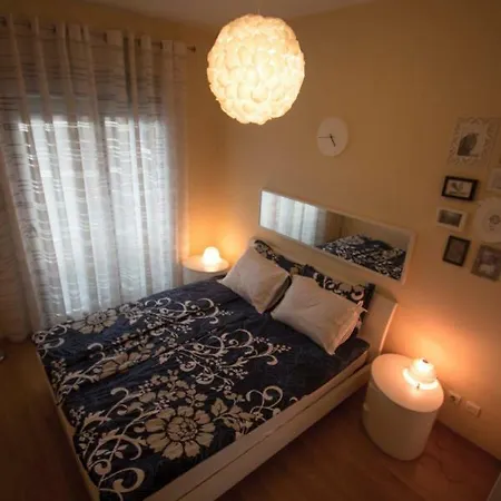 Luxurious 52 In The Center Of Podgorica